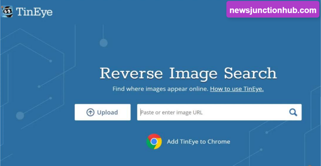 Using TinEye Image Lookup Tool